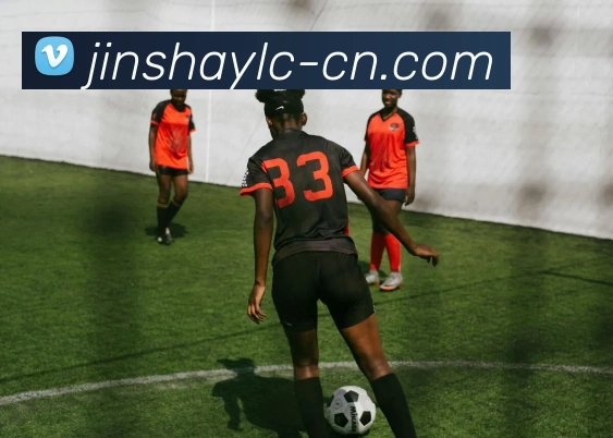 澳门金沙娱乐平台生态图